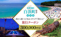 ［和歌山&nbsp;ツアー］&nbsp;白浜&nbsp;後から選べる旅行Webカタログで使える！旅行クーポン（300,000円分）絶青に癒やされ、白に満たされる旅。旅行券&nbsp;宿泊券&nbsp;飲食券&nbsp;体験サービス券