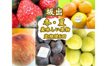 【全6回】坂出　冬・夏　美味しい果物定期便