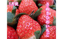 【全6回】坂出　冬・夏　美味しい果物定期便