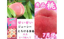【全6回】坂出　冬・夏　美味しい果物定期便