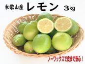 和歌山産レモン/グリーンレモン&nbsp;3kg&nbsp;【国産レモン】