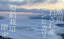 【定期便４Kg×３ヶ月】契約栽培限定 南魚沼しおざわ産コシヒカリ