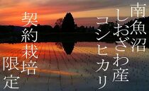 【令和7年産】【定期便10Kg×３ヶ月】契約栽培限定&nbsp;南魚沼しおざわ産コシヒカリ