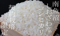 【令和7年産】【定期便15Kg×3ヶ月】契約栽培限定&nbsp;南魚沼しおざわ産コシヒカリ