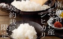 【令和7年産】【定期便20Kg×３ヶ月】契約栽培限定&nbsp;南魚沼しおざわ産コシヒカリ