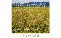 【定期便3回×2kg《合計6kg》】令和7年産　南魚沼産コシヒカリ　白米&nbsp;2kg　＼生産農家直送／