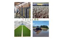 【定期便3回×2kg《合計6kg》】令和7年産　南魚沼産コシヒカリ　白米&nbsp;2kg　＼生産農家直送／