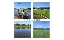 【定期便3回×2kg《合計6kg》】令和7年産　南魚沼産コシヒカリ　白米&nbsp;2kg　＼生産農家直送／