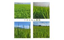 【定期便3回×2kg《合計6kg》】令和7年産　南魚沼産コシヒカリ　白米&nbsp;2kg　＼生産農家直送／