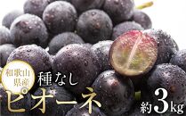 【新鮮・産直】和歌山かつらぎ町産たねなしピオーネ約3kg★2026年8月中旬頃より順次発送【TM127】【ポイント交換専用】