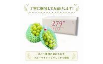 秀品　シャインマスカット　2キロ　長野市産｜ぶどう&nbsp;産地直送&nbsp;秀品&nbsp;大粒&nbsp;人気&nbsp;おすすめ&nbsp;果物&nbsp;フルーツ&nbsp;シャイン&nbsp;贈答用&nbsp;ギフト&nbsp;旬&nbsp;デザート葡萄&nbsp;贈り物&nbsp;長野県&nbsp;長野市&nbsp;信州&nbsp;信濃&nbsp;ふるさと納税