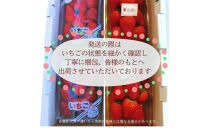【先行予約！】2027年1月以降順次発送　食べ比べ「よつぼし」「うた乃」200ｇ×4パック
