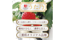 【先行予約！】2027年1月以降順次発送　食べ比べ「よつぼし」「うた乃」200ｇ×4パック