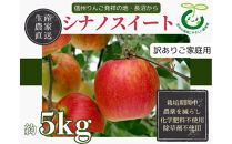 【訳あり】生産農家直送&nbsp;人にやさしい&nbsp;長沼りんご・シナノスイート5kg（ご家庭用）&nbsp;|&nbsp;&nbsp;りんご&nbsp;林檎&nbsp;フルーツ&nbsp;果物&nbsp;シナノスイート&nbsp;家庭用&nbsp;長沼&nbsp;農園&nbsp;おすすめ&nbsp;人気&nbsp;送料無料&nbsp;長野県&nbsp;長野市&nbsp;信州&nbsp;信濃&nbsp;ふるさと納税