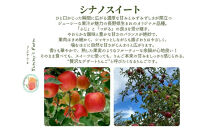 【訳あり】ヤーミーズファーム　生産農家直送&nbsp;人にやさしい&nbsp;長沼りんご・シナノスイート3kg（ご家庭用）&nbsp;|&nbsp;&nbsp;りんご&nbsp;林檎&nbsp;フルーツ&nbsp;果物&nbsp;シナノスイート&nbsp;家庭用&nbsp;長沼&nbsp;おすすめ&nbsp;人気&nbsp;送料無料&nbsp;長野県&nbsp;長野市&nbsp;信州&nbsp;信濃&nbsp;ふるさと納税