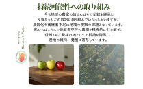 微アルコールシードル&nbsp;ボンプレサージュ330ml×3本&nbsp;無添加・無濾過・非加熱低温発酵の発酵サイダー