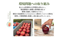 微アルコールシードル&nbsp;ボンプレサージュ330ml×3本&nbsp;無添加・無濾過・非加熱低温発酵の発酵サイダー