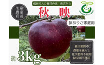 【訳あり】ヤーミーズファーム　生産農家直送&nbsp;人にやさしい&nbsp;長沼りんご・秋映3kg（ご家庭用）&nbsp;|&nbsp;&nbsp;りんご&nbsp;林檎&nbsp;フルーツ&nbsp;果物&nbsp;秋映&nbsp;家庭用&nbsp;長沼&nbsp;おすすめ&nbsp;人気&nbsp;送料無料&nbsp;長野県&nbsp;長野市&nbsp;信州&nbsp;信濃&nbsp;ふるさと納税