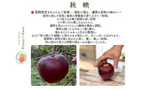 【訳あり】ヤーミーズファーム　生産農家直送&nbsp;人にやさしい&nbsp;長沼りんご・秋映3kg（ご家庭用）&nbsp;|&nbsp;&nbsp;りんご&nbsp;林檎&nbsp;フルーツ&nbsp;果物&nbsp;秋映&nbsp;家庭用&nbsp;長沼&nbsp;おすすめ&nbsp;人気&nbsp;送料無料&nbsp;長野県&nbsp;長野市&nbsp;信州&nbsp;信濃&nbsp;ふるさと納税