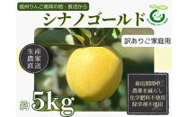 【訳あり】生産農家直送&nbsp;人にやさしい&nbsp;長沼りんご・シナノゴールド5kg（ご家庭用）&nbsp;|&nbsp;&nbsp;りんご&nbsp;林檎&nbsp;フルーツ&nbsp;果物&nbsp;シナノゴールド&nbsp;家庭用&nbsp;長沼&nbsp;農園&nbsp;おすすめ&nbsp;人気&nbsp;送料無料&nbsp;長野県&nbsp;長野市&nbsp;信州&nbsp;信濃&nbsp;ふるさと納税