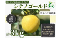 【訳あり】ヤーミーズファーム　生産農家直送&nbsp;人にやさしい&nbsp;長沼りんご・シナノゴールド3kg（ご家庭用）&nbsp;|&nbsp;&nbsp;りんご&nbsp;林檎&nbsp;フルーツ&nbsp;果物&nbsp;シナノゴールド&nbsp;家庭用&nbsp;長沼&nbsp;おすすめ&nbsp;人気&nbsp;送料無料&nbsp;長野県&nbsp;長野市&nbsp;信州&nbsp;信濃&nbsp;ふるさと納税