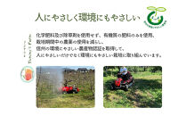 【訳あり】ヤーミーズファーム　生産農家直送&nbsp;人にやさしい&nbsp;長沼りんご・シナノゴールド3kg（ご家庭用）&nbsp;|&nbsp;&nbsp;りんご&nbsp;林檎&nbsp;フルーツ&nbsp;果物&nbsp;シナノゴールド&nbsp;家庭用&nbsp;長沼&nbsp;おすすめ&nbsp;人気&nbsp;送料無料&nbsp;長野県&nbsp;長野市&nbsp;信州&nbsp;信濃&nbsp;ふるさと納税