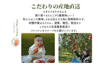 【訳あり】ヤーミーズファーム　生産農家直送&nbsp;人にやさしい&nbsp;長沼りんご・シナノゴールド3kg（ご家庭用）&nbsp;|&nbsp;&nbsp;りんご&nbsp;林檎&nbsp;フルーツ&nbsp;果物&nbsp;シナノゴールド&nbsp;家庭用&nbsp;長沼&nbsp;おすすめ&nbsp;人気&nbsp;送料無料&nbsp;長野県&nbsp;長野市&nbsp;信州&nbsp;信濃&nbsp;ふるさと納税