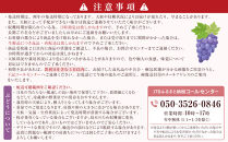 熊原果樹園　【訳あり】長野市シャインマスカット　約2kg（3房）&nbsp;|&nbsp;シャインマスカット&nbsp;ぶどう&nbsp;葡萄&nbsp;フルーツ&nbsp;果物&nbsp;大粒&nbsp;秀品&nbsp;長野市産&nbsp;&nbsp;松代&nbsp;人気&nbsp;おすすめ&nbsp;デザート&nbsp;送料無料&nbsp;長野県&nbsp;長野市&nbsp;信州&nbsp;信濃&nbsp;ふるさと納税