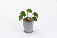 穏やかに育つ観葉植物の土&nbsp;５Ｌ&nbsp;IHPC-5L