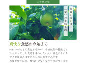 鳥取県産&nbsp;梨&nbsp;優品&nbsp;ご自宅用&nbsp;二十世紀梨&nbsp;5kg&nbsp;【鳥取県&nbsp;境港市】