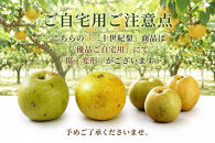 鳥取県産&nbsp;梨&nbsp;優品&nbsp;ご自宅用&nbsp;二十世紀梨&nbsp;5kg&nbsp;【鳥取県&nbsp;境港市】