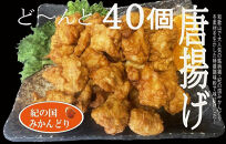 [定期便&nbsp;2か月に１回発送・全3回]&nbsp;紀の国みかんどり　食べ比べセット（特撰唐揚げ・フライドチキン・グリルチキン）