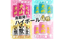 マツイ&nbsp;山陰×大山&nbsp;樽香るハイボールコレクション&nbsp;350ml&nbsp;×12本セット
