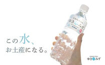 北海道大雪山ゆきのみず（550ml×24本入り）　2箱【&nbsp;水&nbsp;ミネラルウォーター&nbsp;北海道&nbsp;大雪山&nbsp;自然水&nbsp;軟水&nbsp;クリーンウォーター&nbsp;ミネラル豊富北海道産水】