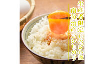 【令和8年産　新米予約】【1Kg】生産者限定／契約栽培&nbsp;南魚沼しおざわ産コシヒカリ【銘柄米&nbsp;精米&nbsp;こしひかり&nbsp;コシヒカリ&nbsp;魚沼産&nbsp;新潟米&nbsp;お米&nbsp;米&nbsp;こめ&nbsp;コメ&nbsp;ご飯&nbsp;御飯&nbsp;ごはん】【2026年10月上旬より1ヶ月以内に順次発送予定】