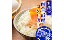 【令和8年産　新米予約】【1Kg】無洗米南魚沼しおざわ産コシヒカリ【銘柄米&nbsp;無洗米&nbsp;こしひかり&nbsp;コシヒカリ&nbsp;魚沼産&nbsp;新潟米&nbsp;お米&nbsp;米&nbsp;ごはん】【2026年10月上旬より1ヶ月以内に順次発送予定】