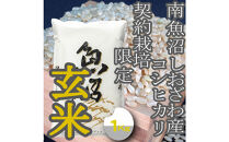 【令和8年産　新米予約】玄米【1Kg】&nbsp;生産者限定&nbsp;南魚沼しおざわ産コシヒカリ【銘柄米&nbsp;玄米&nbsp;こしひかり&nbsp;コシヒカリ&nbsp;魚沼産&nbsp;新潟米&nbsp;お米&nbsp;米&nbsp;こめ&nbsp;コメ&nbsp;ご飯&nbsp;御飯&nbsp;ごはん】【2026年10月上旬より1ヶ月以内に順次発送予定】