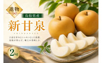山根農園&nbsp;新甘泉&nbsp;ギフト2kg