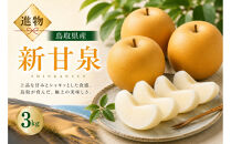 山根農園&nbsp;新甘泉&nbsp;ギフト3kg