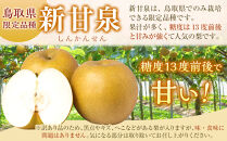訳あり&nbsp;数量限定&nbsp;鳥取県産&nbsp;新甘泉（しんかんせん）&nbsp;約5kg&nbsp;（10～18玉）≪2026年9月中旬頃出荷≫