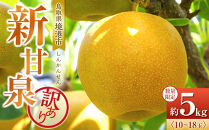 訳あり&nbsp;数量限定&nbsp;鳥取県産&nbsp;新甘泉（しんかんせん）&nbsp;約5kg&nbsp;（10～18玉）≪2026年9月中旬頃出荷≫&nbsp;【鳥取県&nbsp;境港市】