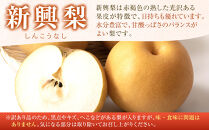 訳あり&nbsp;数量限定&nbsp;鳥取県産&nbsp;新興梨（しんこうなし）&nbsp;約5kg&nbsp;（8～15玉）≪2026年10月中旬頃出荷≫&nbsp;【鳥取県&nbsp;境港市】