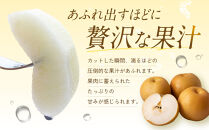 訳あり&nbsp;数量限定&nbsp;鳥取県産&nbsp;王秋梨（おうしゅうなし）&nbsp;約5kg&nbsp;（7～15玉）≪2026年11月中旬頃出荷≫&nbsp;【鳥取県&nbsp;境港市】