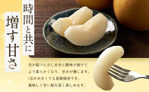 訳あり&nbsp;数量限定&nbsp;鳥取県産&nbsp;王秋梨（おうしゅうなし）&nbsp;約5kg&nbsp;（7～15玉）≪2026年11月中旬頃出荷≫&nbsp;【鳥取県&nbsp;境港市】