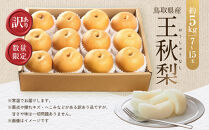 訳あり&nbsp;数量限定&nbsp;鳥取県産&nbsp;王秋梨（おうしゅうなし）&nbsp;約5kg&nbsp;（7～15玉）≪2026年11月中旬頃出荷≫&nbsp;【鳥取県&nbsp;境港市】