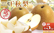 訳あり&nbsp;数量限定&nbsp;鳥取県産&nbsp;王秋梨（おうしゅうなし）&nbsp;約5kg&nbsp;（7～15玉）≪2026年11月中旬頃出荷≫&nbsp;【鳥取県&nbsp;境港市】