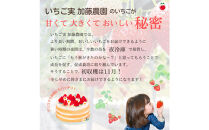 紅ほっぺソルベ&nbsp;紅ほっぺみるくセット（各3個入）【配送不可：離島】