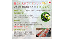 紅ほっぺソルベ&nbsp;紅ほっぺみるくセット（各3個入）【配送不可：離島】