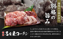 【お中元】純系名古屋コーチン　5種の豪華燻製セット