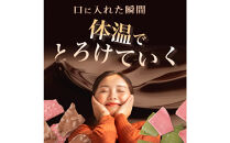【訳あり】割れチョコ&nbsp;１４種類の贅沢ミックス&nbsp;500g(500g×1袋)詰合せ&nbsp;福袋&nbsp;ご褒美
